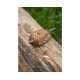 Momitor Korum - Camo Grub Feeder L30g